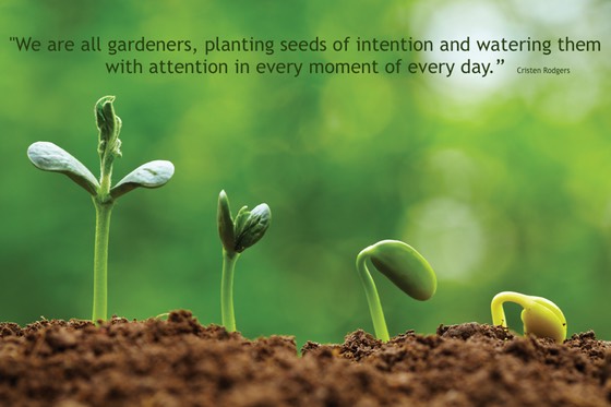Intention & Attention | Life Resources